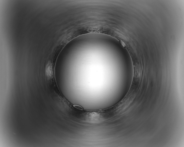 X0000088750287200705311518
