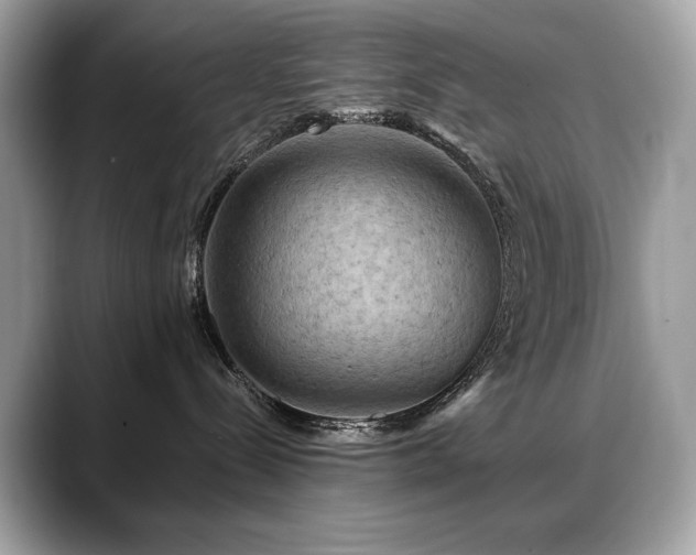 X0000088750288200705311518