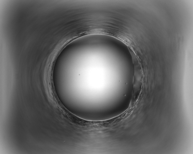 X0000088750289200705311517