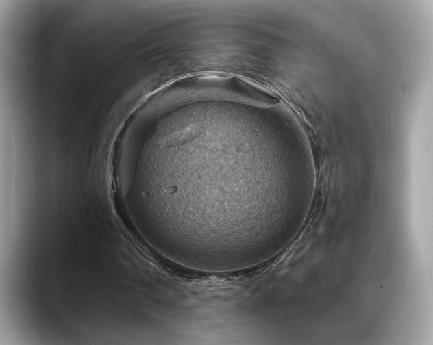 X0000088750290200705311517