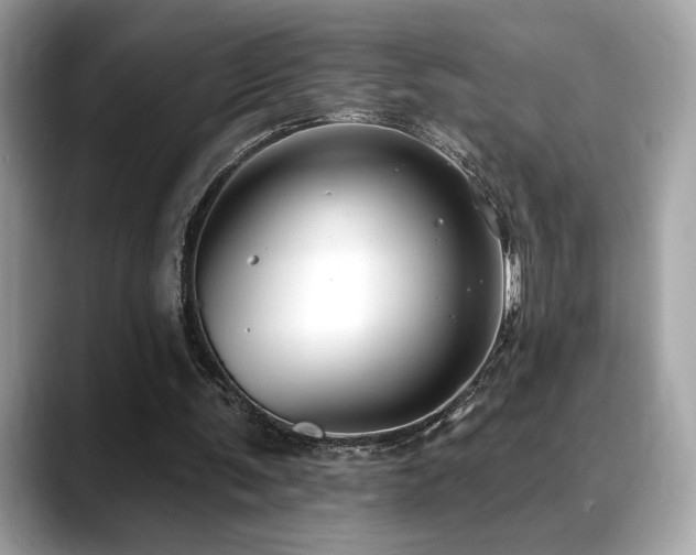 X0000088750291200705311517