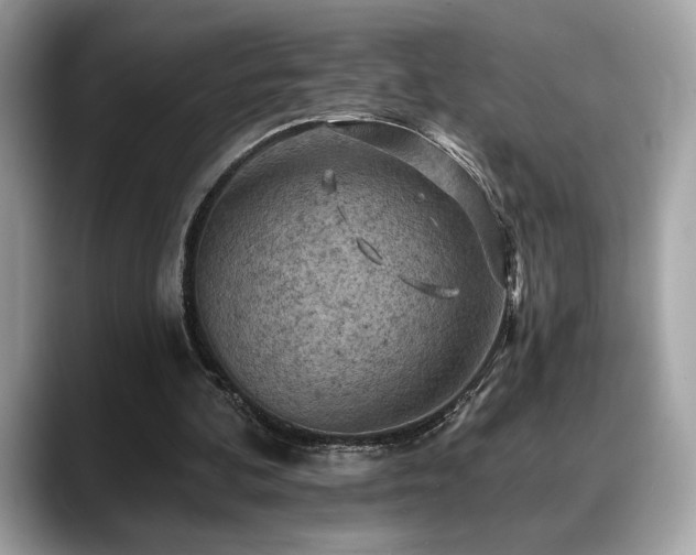 X0000088750292200705311517