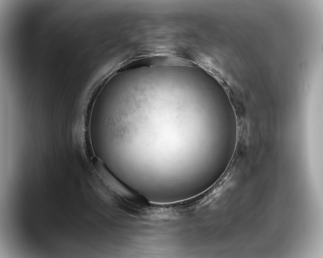 X0000088750293200705311517