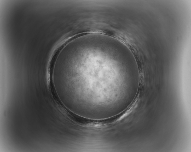 X0000088750294200705311517