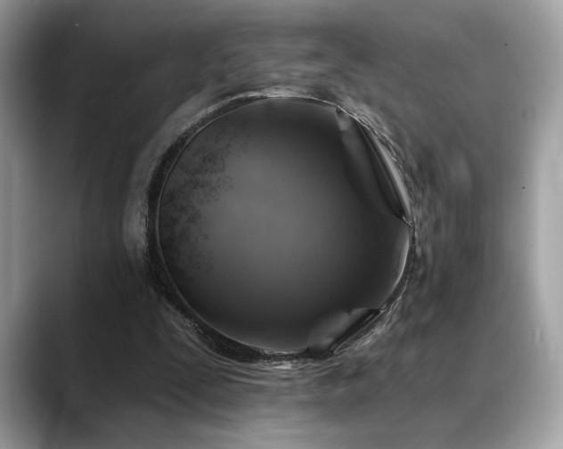 X0000088750295200705311517