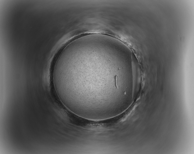 X0000088750296200705311517