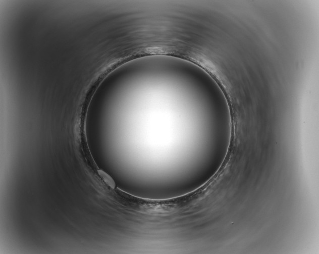 X0000088750297200705311517