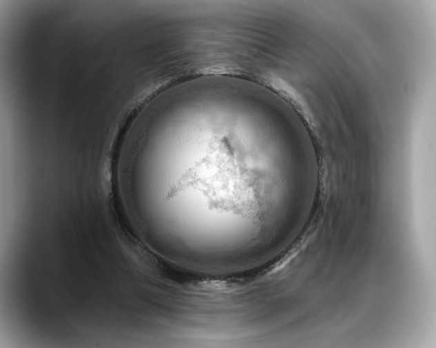 X0000088750298200705311517