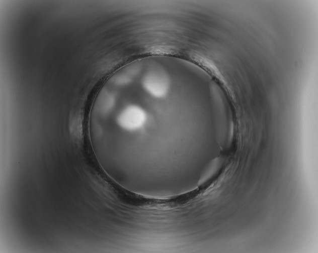 X0000088750299200705311517