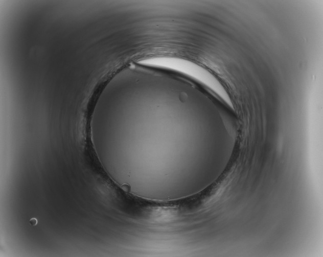X0000088750303200705311517