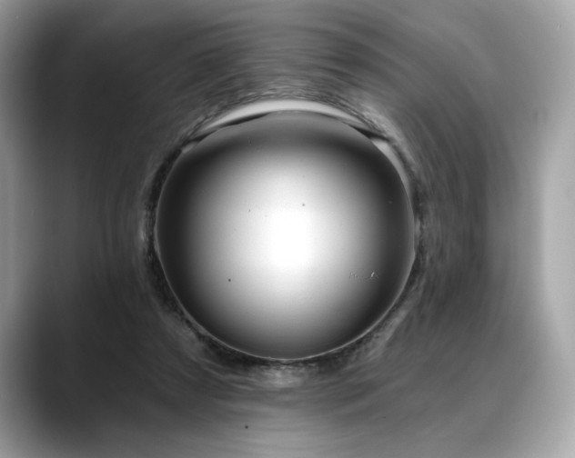 X0000088750305200705311517