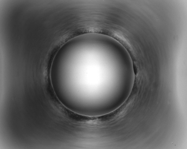 X0000088750306200705311517