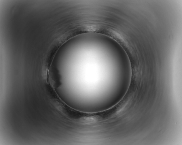 X0000088750307200705311517
