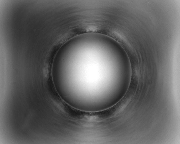 X0000088750311200705311517