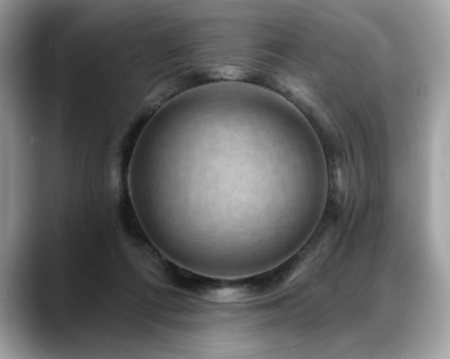 X0000088750312200705311517