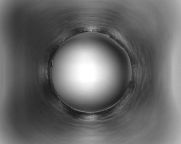 X0000088750313200705311517