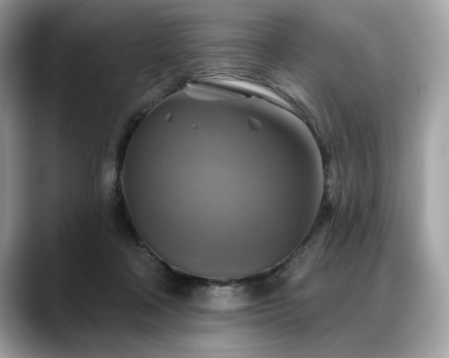 X0000088750314200705311517