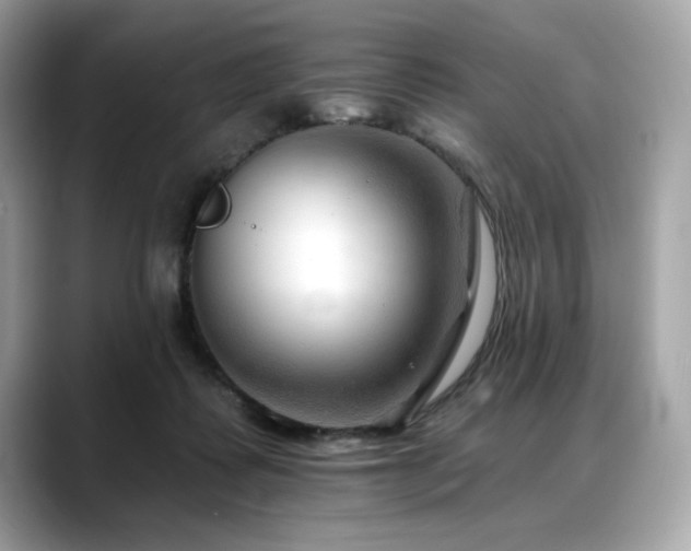 X0000088750315200705311517