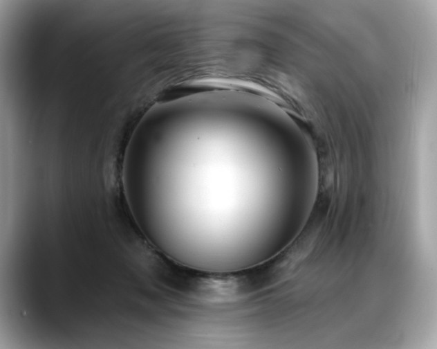 X0000088750317200705311517