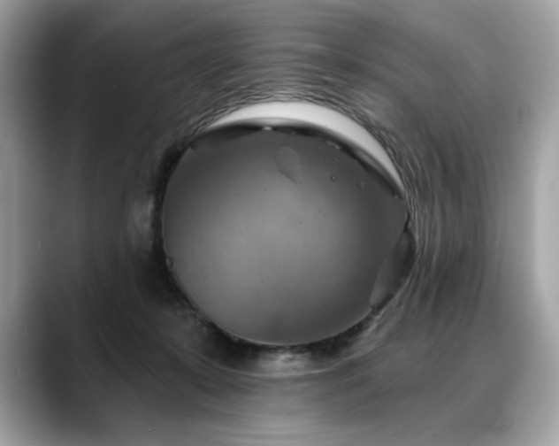 X0000088750319200705311517