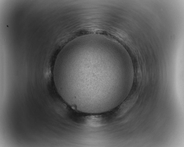 X0000088750320200705311517