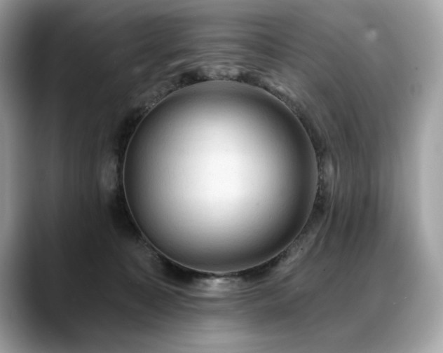 X0000088750323200705311517