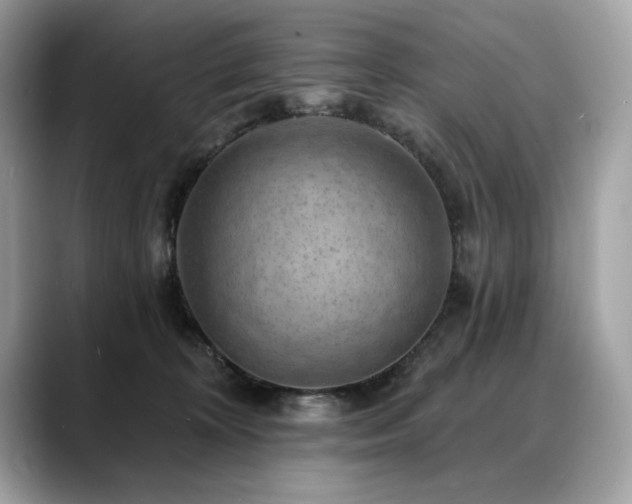 X0000088750324200705311517