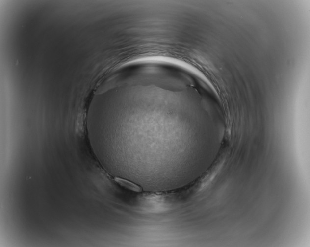 X0000088750325200705311517