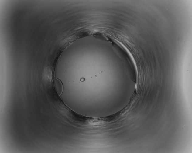 X0000088750331200705311516