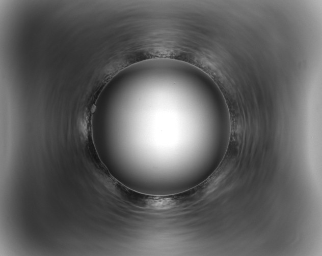X0000088750334200705311516