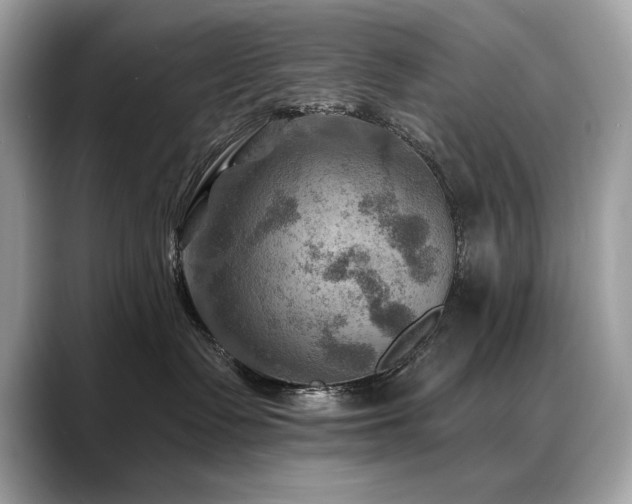 X0000088750335200705311516