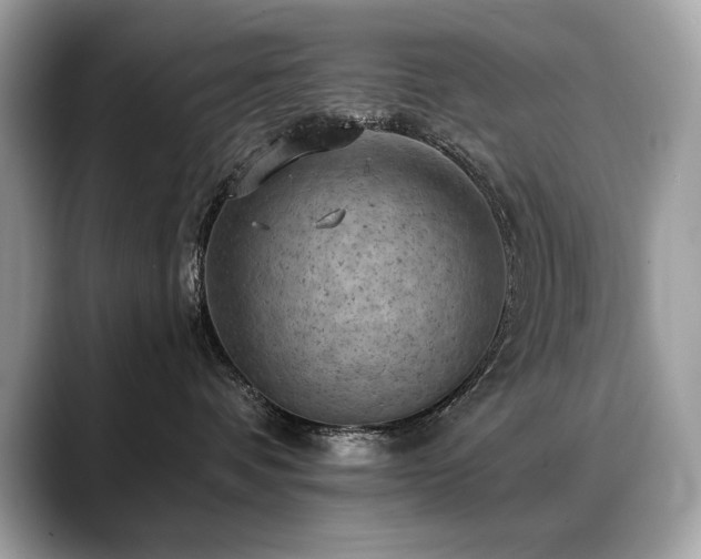 X0000088750336200705311516