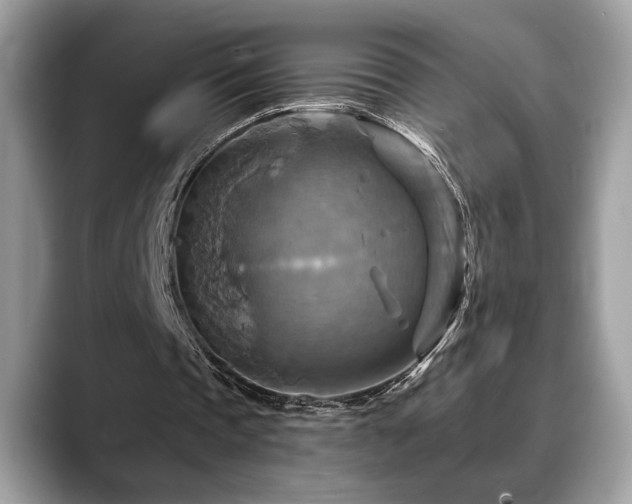 X0000088750337200705311516