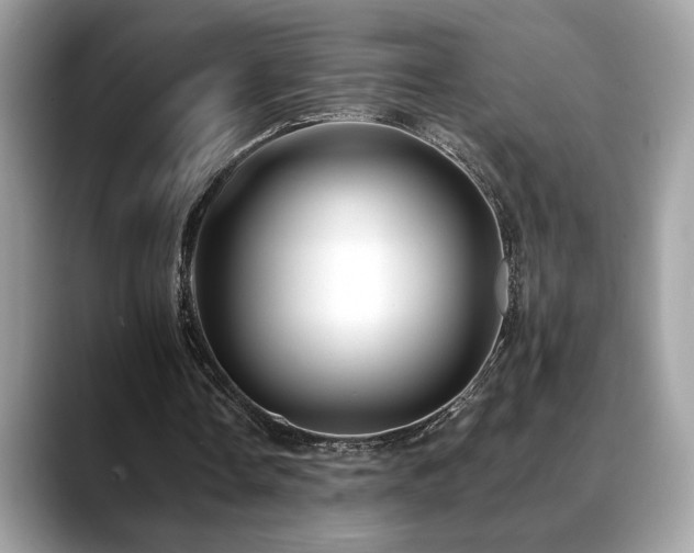 X0000088750338200705311516