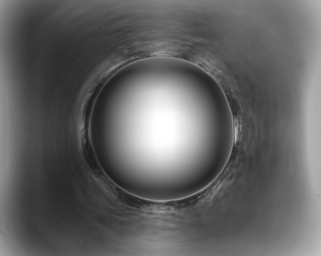 X0000088750339200705311516