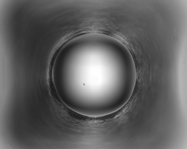 X0000088750340200705311516