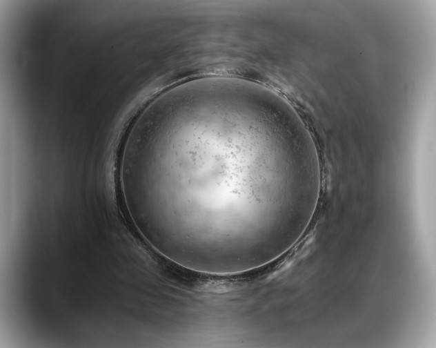 X0000088750341200705311516
