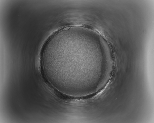 X0000088750342200705311516