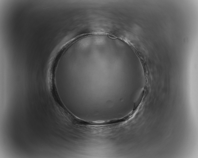 X0000088750343200705311516