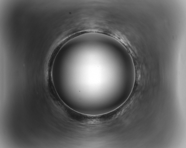 X0000088750344200705311516