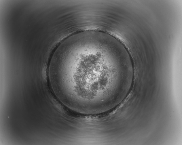 X0000088750345200705311516