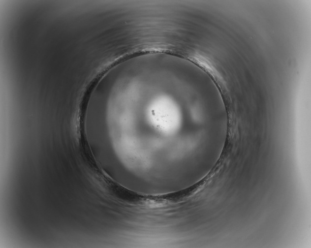 X0000088750346200705311516