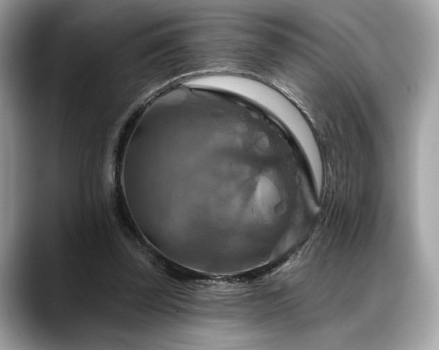 X0000088750347200705311516