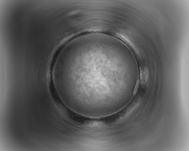 X0000088750348200705311516