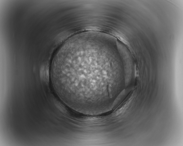 X0000088750349200705311516