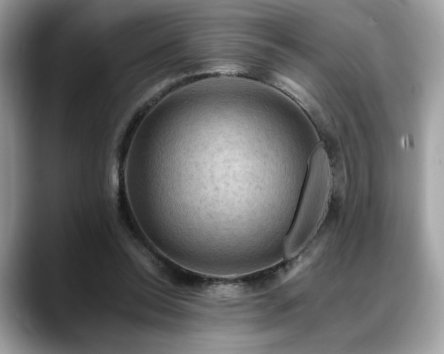 X0000088750350200705311516