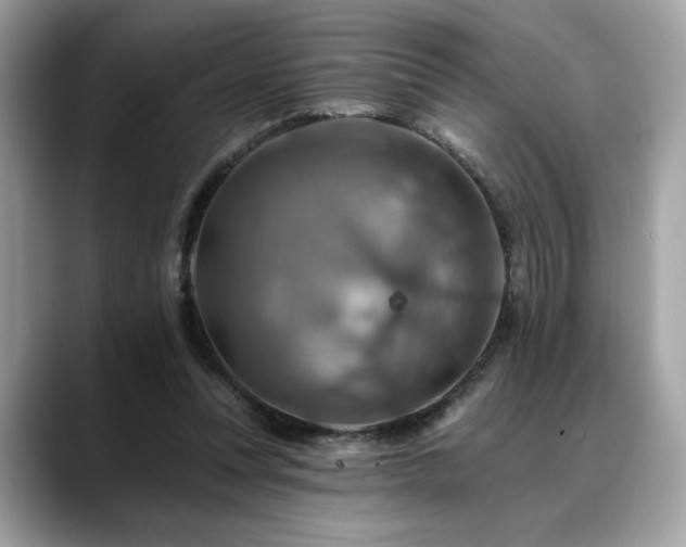 X0000088750351200705311516
