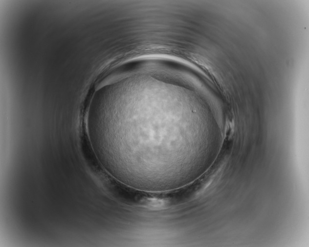 X0000088750352200705311516