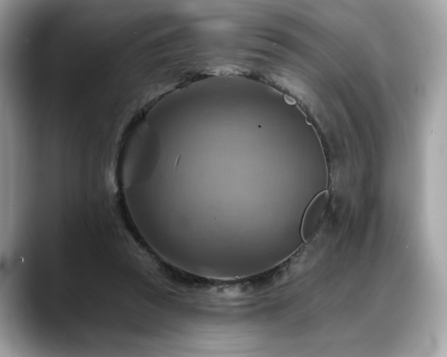 X0000088750353200705311516
