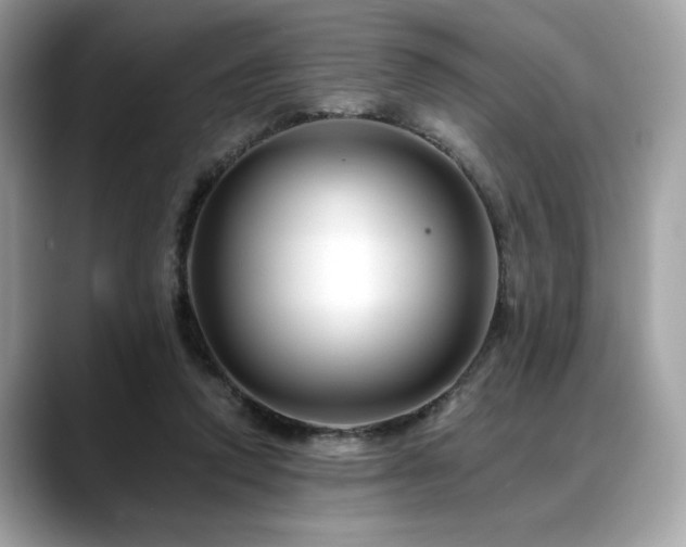 X0000088750354200705311516